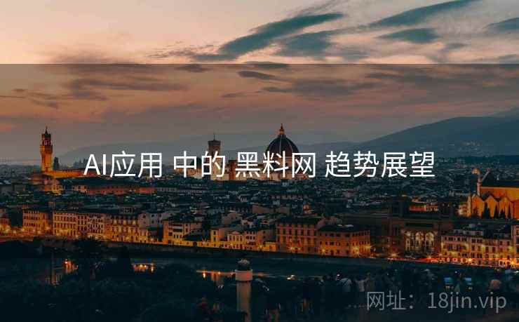 AI应用 中的 黑料网 趋势展望  第1张