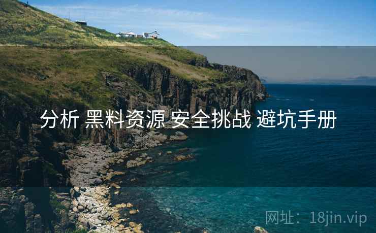 分析 黑料资源 安全挑战 避坑手册  第1张