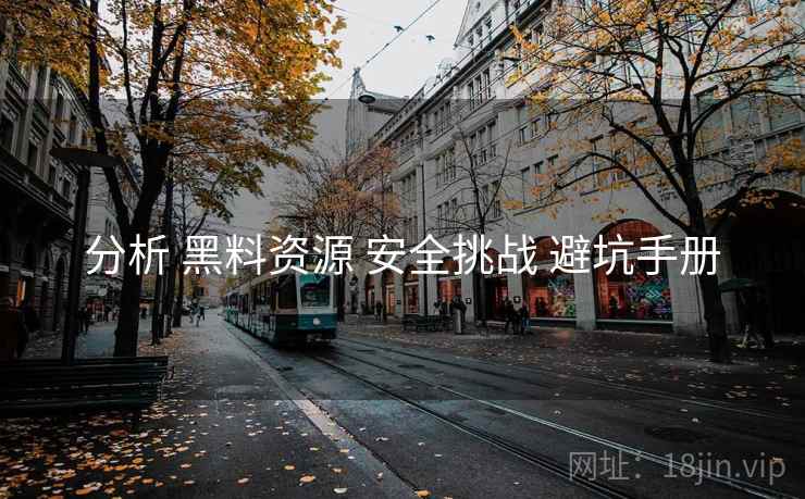 分析 黑料资源 安全挑战 避坑手册  第2张