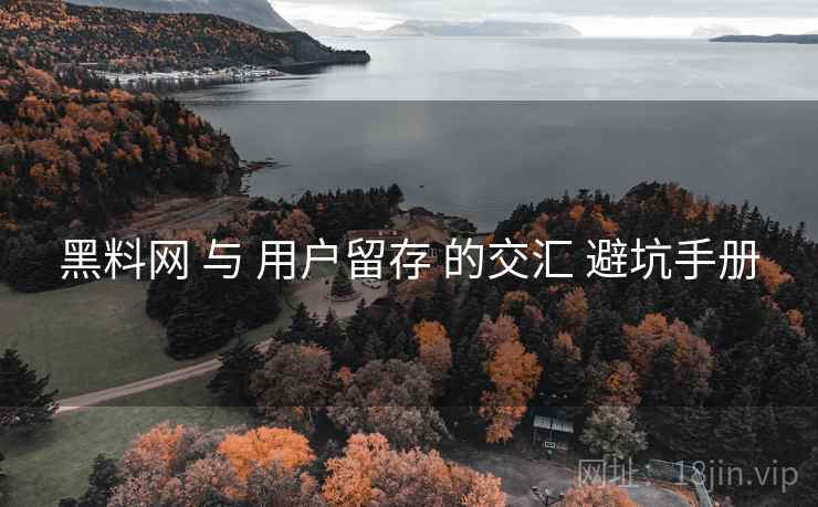 黑料网 与 用户留存 的交汇 避坑手册  第1张