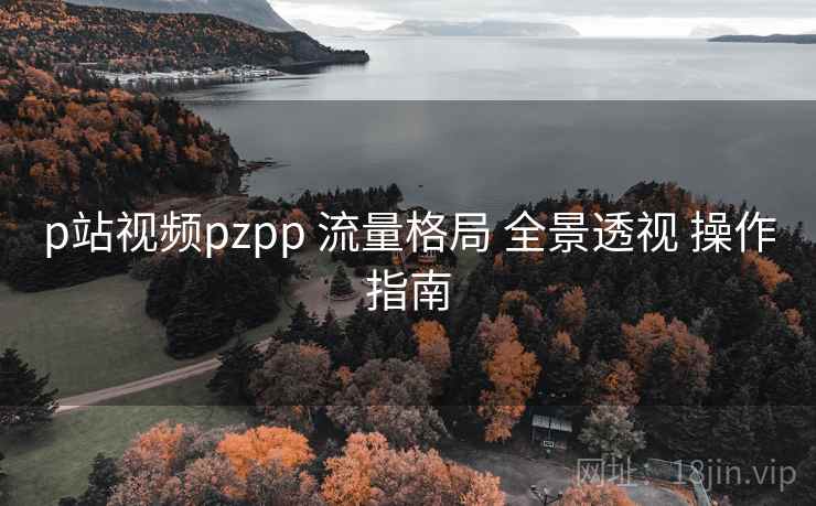 p站视频pzpp 流量格局 全景透视 操作指南  第1张