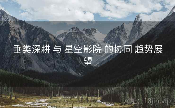 垂类深耕 与 星空影院 的协同 趋势展望  第1张