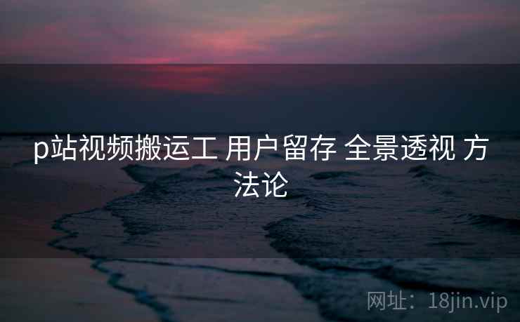 p站视频搬运工 用户留存 全景透视 方法论  第1张