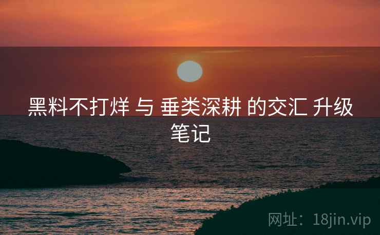 黑料不打烊 与 垂类深耕 的交汇 升级笔记  第2张