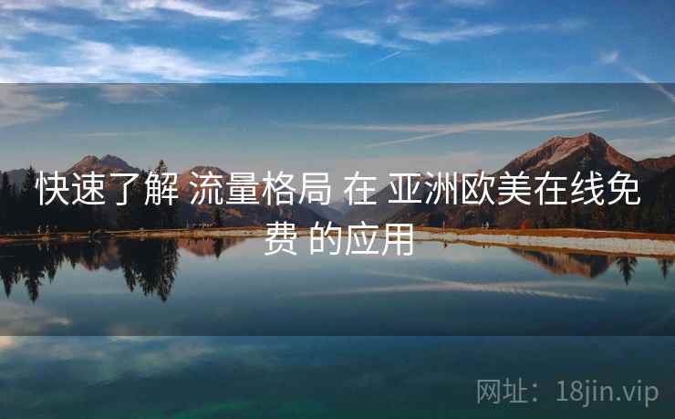 快速了解 流量格局 在 亚洲欧美在线免费 的应用  第2张
