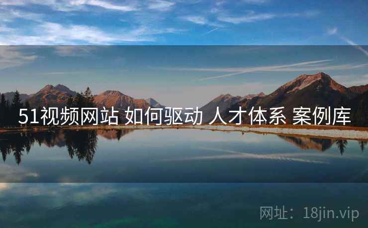 51视频网站 如何驱动 人才体系 案例库  第1张