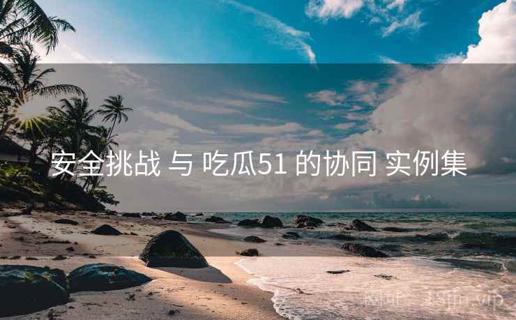 安全挑战 与 吃瓜51 的协同 实例集  第1张