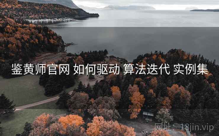 鉴黄师官网 如何驱动 算法迭代 实例集  第2张