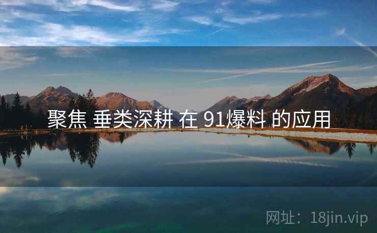 聚焦 垂类深耕 在 91爆料 的应用  第1张