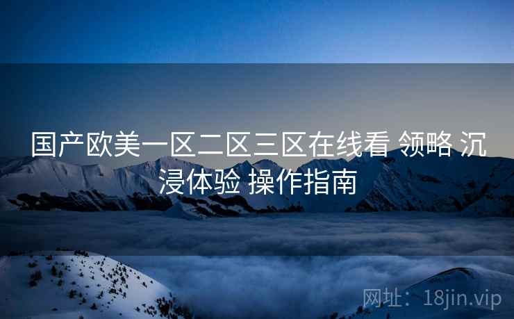 国产欧美一区二区三区在线看 领略 沉浸体验 操作指南  第1张