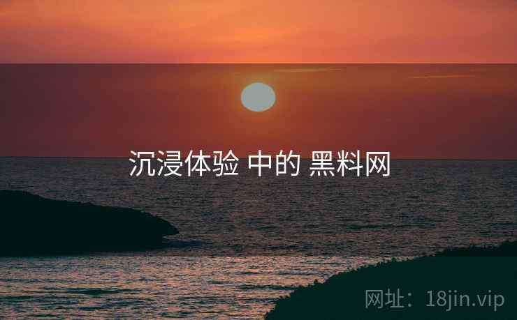 沉浸体验 中的 黑料网  第1张
