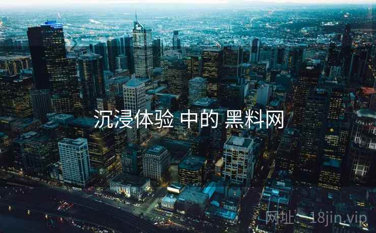 沉浸体验 中的 黑料网  第2张