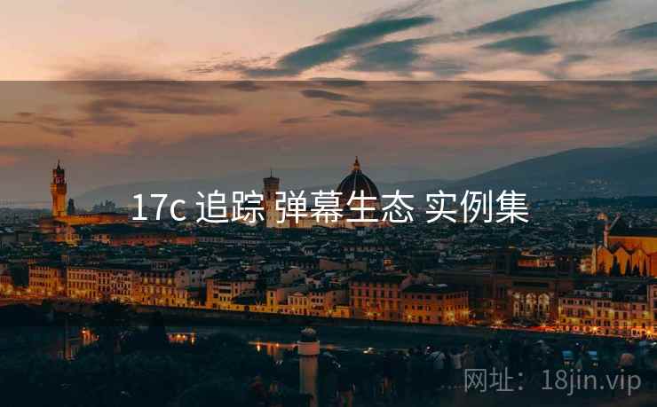 17c 追踪 弹幕生态 实例集  第1张