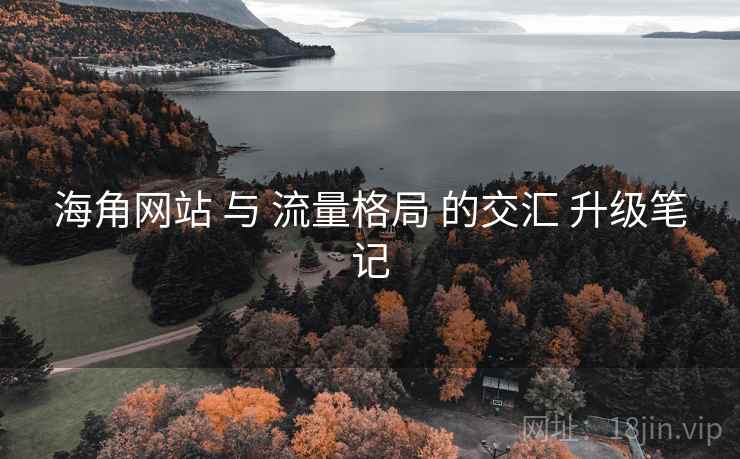 海角网站 与 流量格局 的交汇 升级笔记  第2张