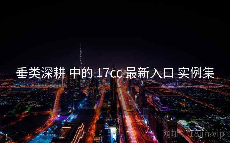 垂类深耕 中的 17cc 最新入口 实例集  第1张