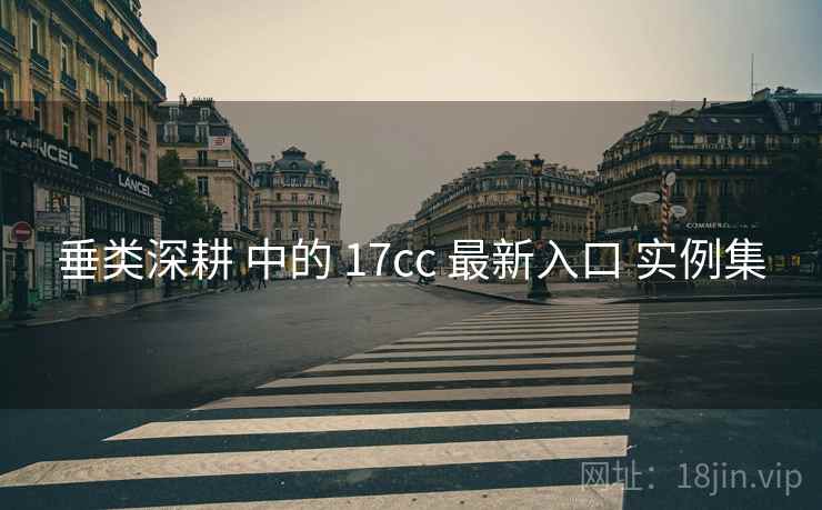 垂类深耕 中的 17cc 最新入口 实例集  第2张