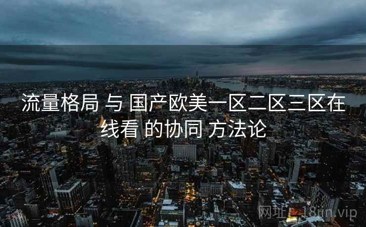 流量格局 与 国产欧美一区二区三区在线看 的协同 方法论  第2张