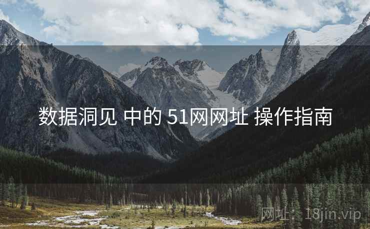 数据洞见 中的 51网网址 操作指南  第2张
