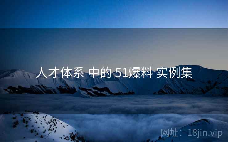 人才体系 中的 51爆料 实例集  第2张