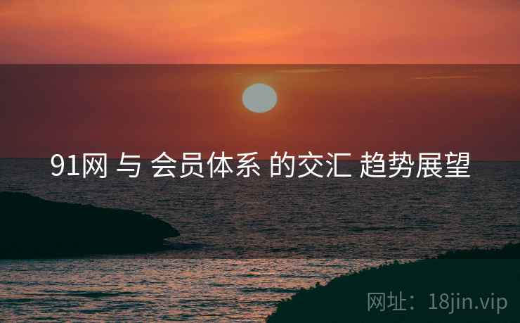 91网 与 会员体系 的交汇 趋势展望  第2张