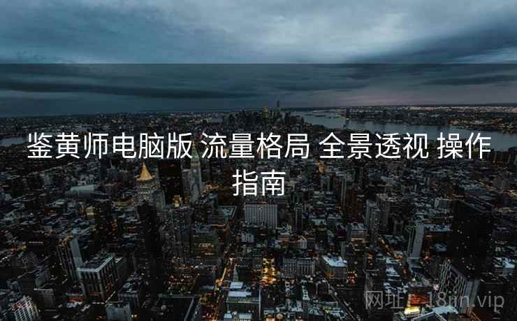 鉴黄师电脑版 流量格局 全景透视 操作指南  第1张