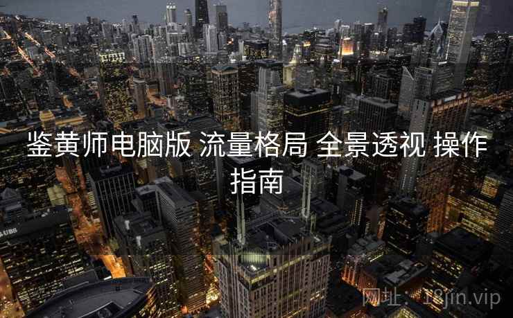 鉴黄师电脑版 流量格局 全景透视 操作指南  第2张