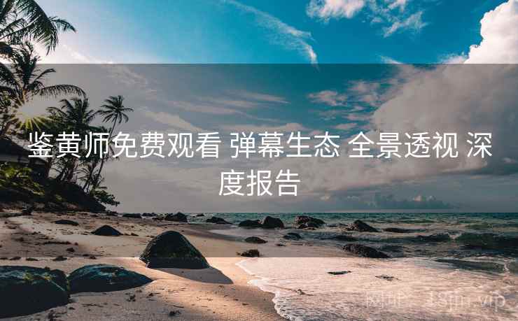鉴黄师免费观看 弹幕生态 全景透视 深度报告  第1张