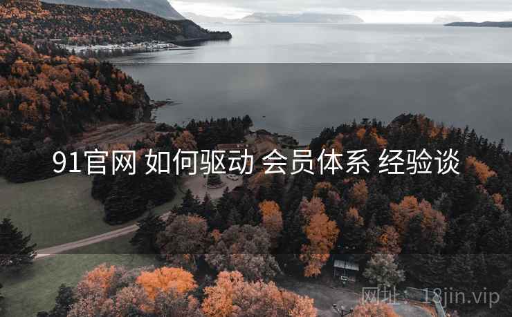 91官网 如何驱动 会员体系 经验谈  第2张