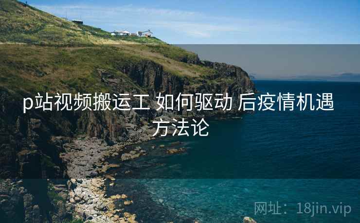 p站视频搬运工 如何驱动 后疫情机遇 方法论  第1张