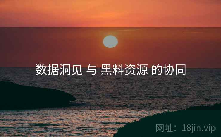 数据洞见 与 黑料资源 的协同  第2张