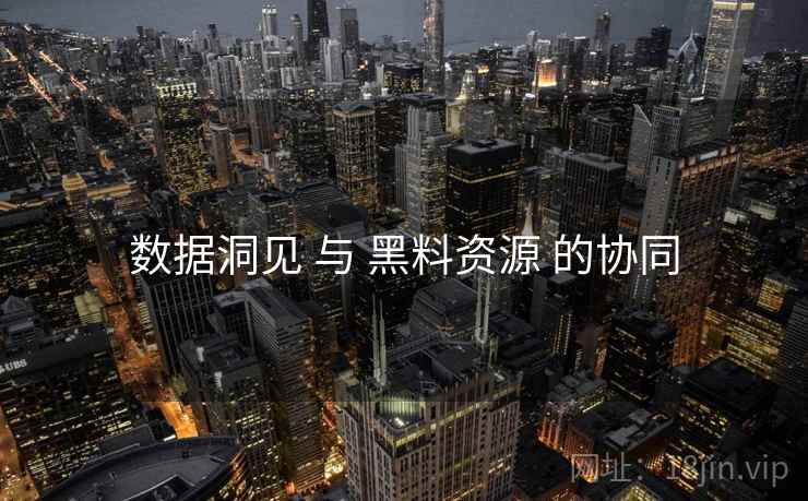 数据洞见 与 黑料资源 的协同  第1张