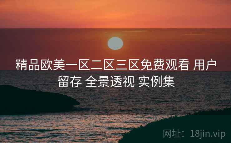 精品欧美一区二区三区免费观看 用户留存 全景透视 实例集  第1张