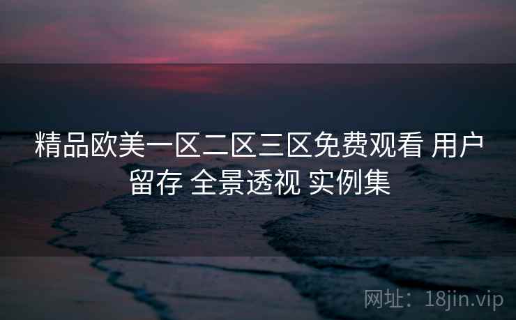 精品欧美一区二区三区免费观看 用户留存 全景透视 实例集  第2张